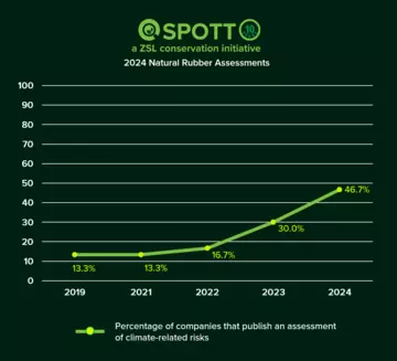 Natural rubber companies publishing climate risks assessment