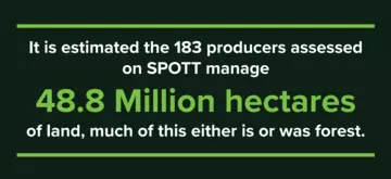 Palm oil, natural rubber, timber and pulp producers forest landbank