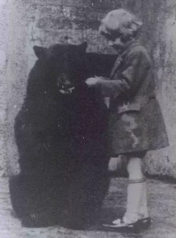 Christopher Robin Milne and Winnie the bear at London Zoo