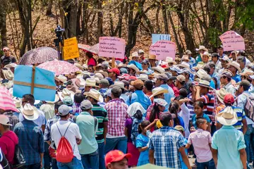 crowds dressed in vibrant clothes protesting with signs