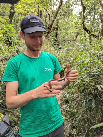 Snake being handled by ZSL Herpetologist