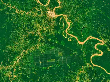 Monitoring deforestation in the Amazon rainforest