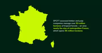 Tropical forestry companies landbank