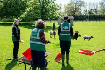 Students taking part in the ZSL Zoo Academy