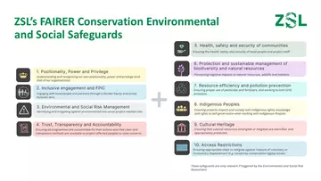 Infographic showing the ZSL FAIRER Safeguards