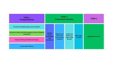 Year Timetable