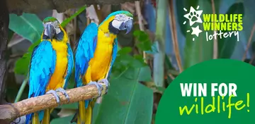 ZSL's Wildlife Winners Weekly Lottery