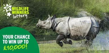ZSL's Wildlife Winners Weekly Lottery