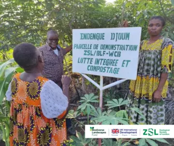 Addressing the devastating impacts of Cassava Mosaic Virus with the Endengue community