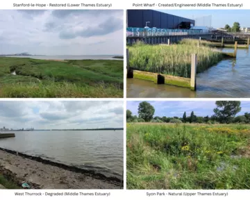 Habitat collage