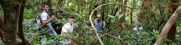 Mauritius Wildlife Foundation field team