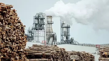 Paper mill facility highlighting the upstream sourcing risks in global paper supply chains