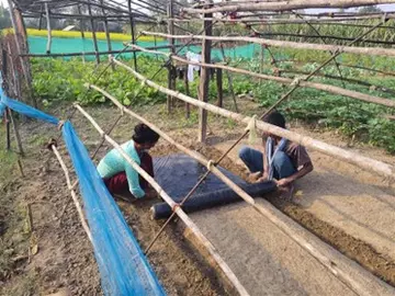 Farmers at work in Hattithala