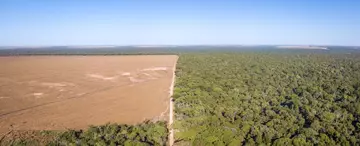 Aerial image of deforestation in the Amazon rainforest linked to unsustainable supply chains