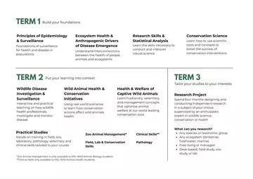 An overview of the course structure, explaining what modules are covered in each term.