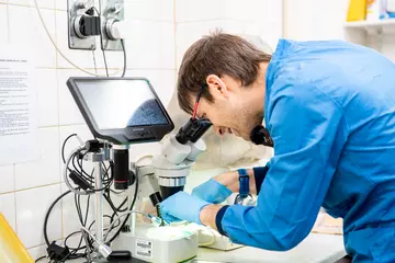 Pathologist looking down a microscope