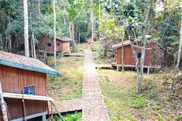 Ethical and affordable ecotourism in Dja-Nki, Central Africa