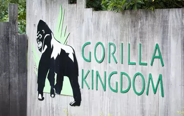 Gorilla Kingdom sign in green text with an image of a silverback gorilla