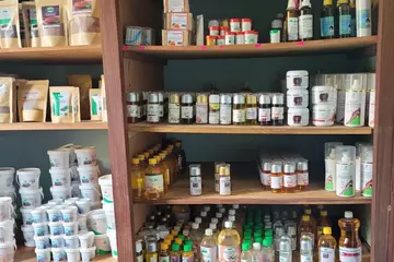 Sustainable non-timber forest products (NTFPs) from Cameroon
