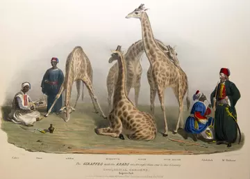 Lithograph by George Scharf