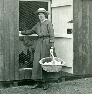 A black and white photograph of Marion Saunders standing in front of a chicken shed holding a basket of eggs