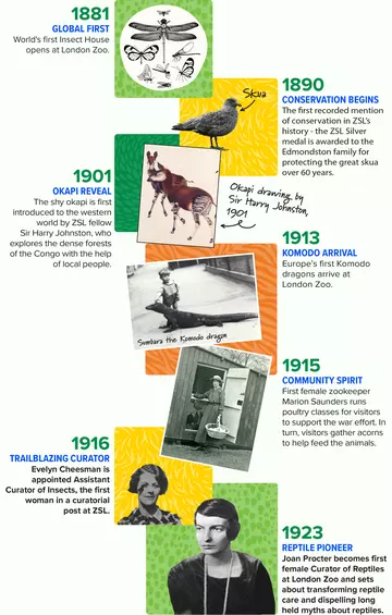 ZSL timeline 2