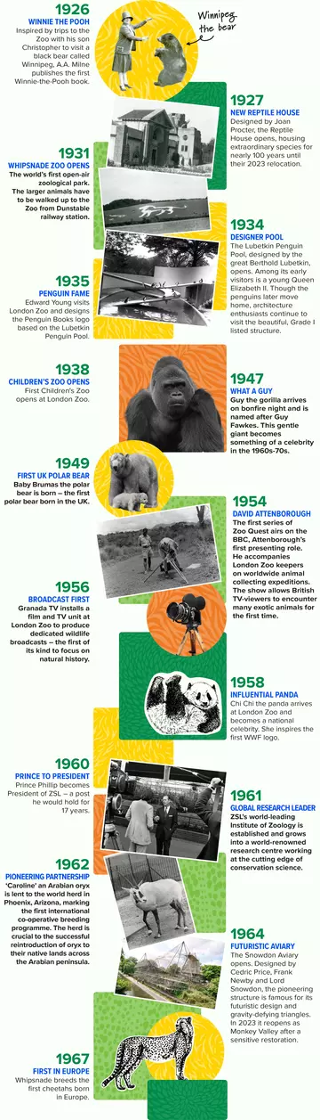 ZSL timeline 3