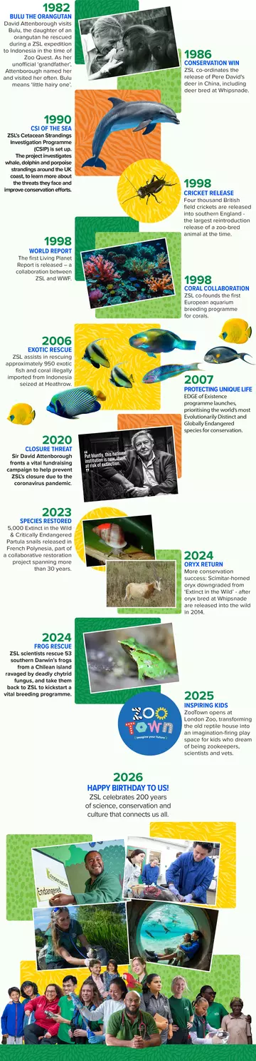 ZSL Timeline 4