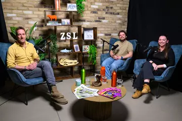 Ben Fogle Cam Whitnall and Sarah Forsyth sitting in the studio