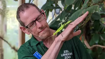 A zookeeper with an insect crawling up his hand with leaves in the background