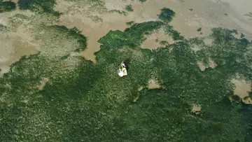 Seabed habitat aerial view