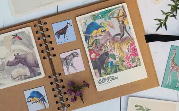 A scrapbook with magnets and a wooden postcard