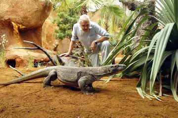 Sir David Attenborough crouching next to a Komodo dragon with greenery behind