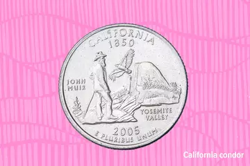 John Muir California condor coin