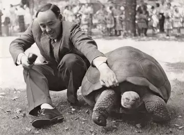 Desmond Morris upended by tortoise