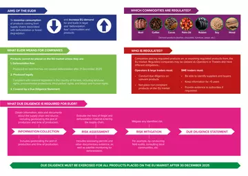 Understanding the EU Deforestation Regulation (EUDR)