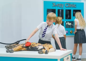 A child carrying out a health check on a toy African wild dog in London Zoo's ZooTown