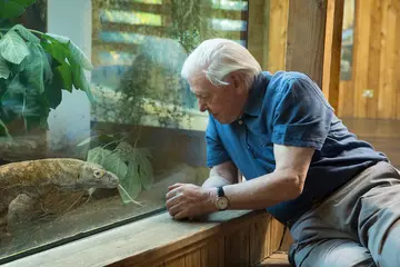 Sir David Attenborough looking through the glass enclosure at a Komodo dragon