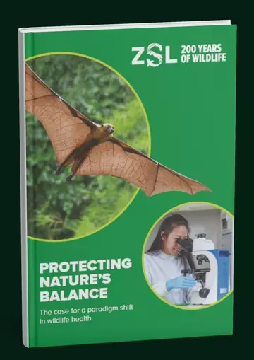 wildlife health monitoring and research