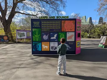 A child looks on at the ZSL at 200 Exhibition at London Zoo