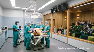 An artists impression of a visitor viewing window with visitors watching a veterinary procedure