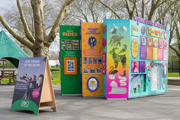 The colourful ZSL at 200 Exhibition at London Zoo with trees in the background