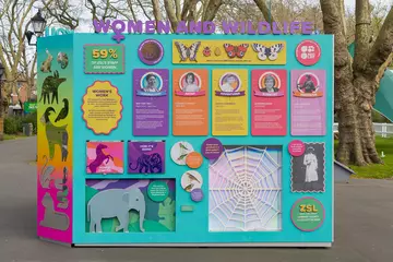 A colourful cube in the grounds of London Zoo highlighting Women and Wildlife
