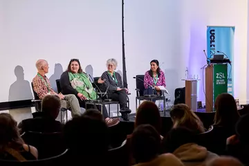 Panel at UCL ZSL event
