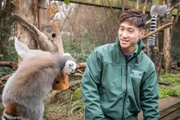 Alvin Visitor Welcome Volunteer