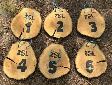 6 log disks with painted numbers on them used for marking sampling locations