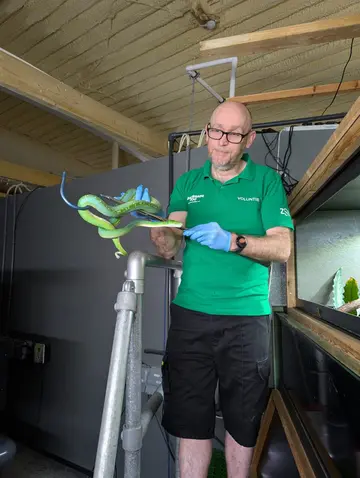 Dave Ectotherms Volunteer 