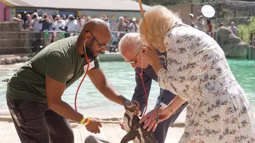 Stefan and HRM perform health check on Lannister the Penguin on penguin beach