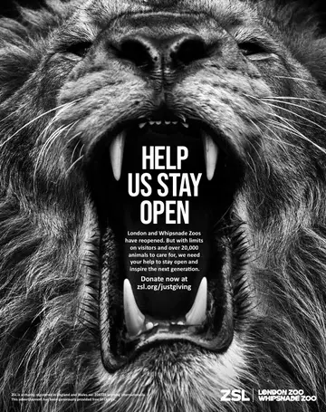 A blank and white advert of a roaring lion with 'Help us stay open' text