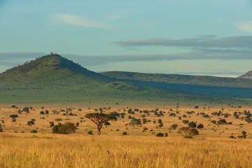 Tsavo conservation area, Kenya - an area ZSL does conservation work in